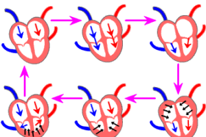 Chaos theory and fractals: 2/4