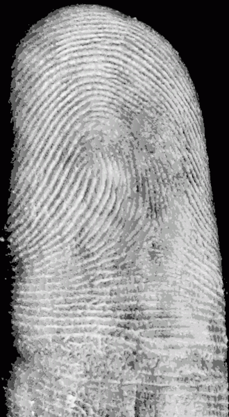 Identity